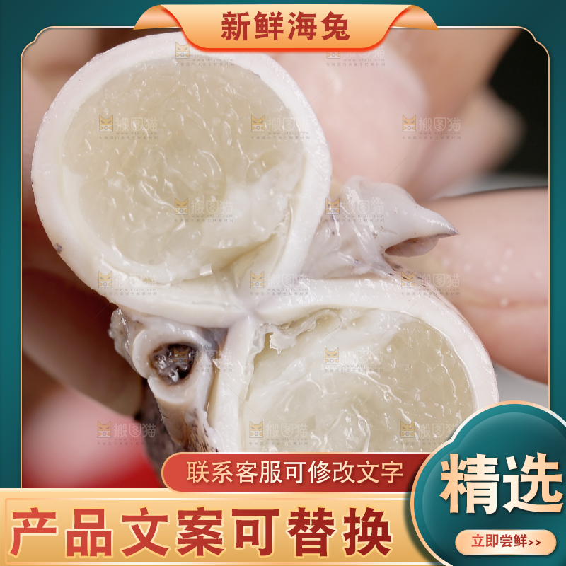 深底上的海兔