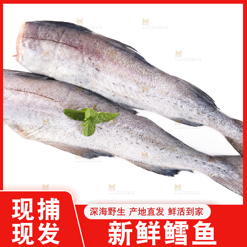 白底上的鳕鱼