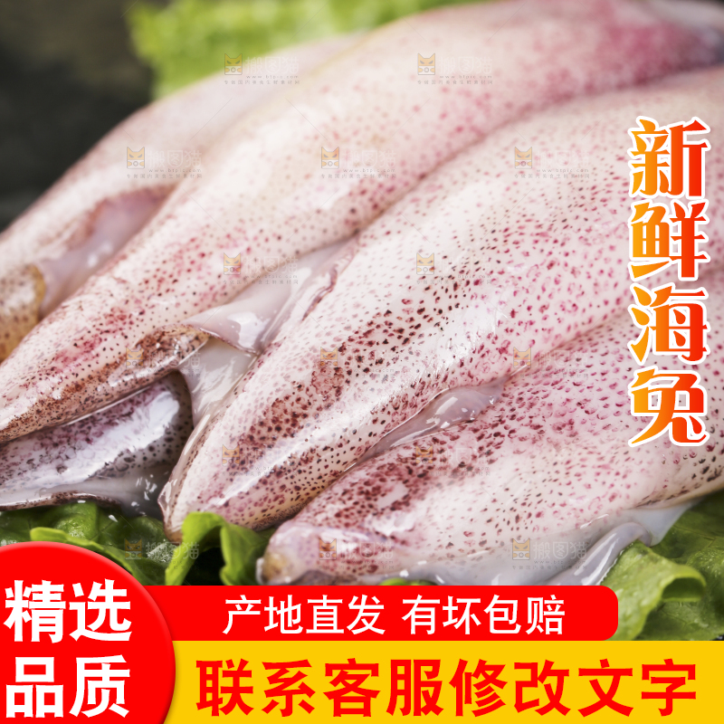 深底上的海兔