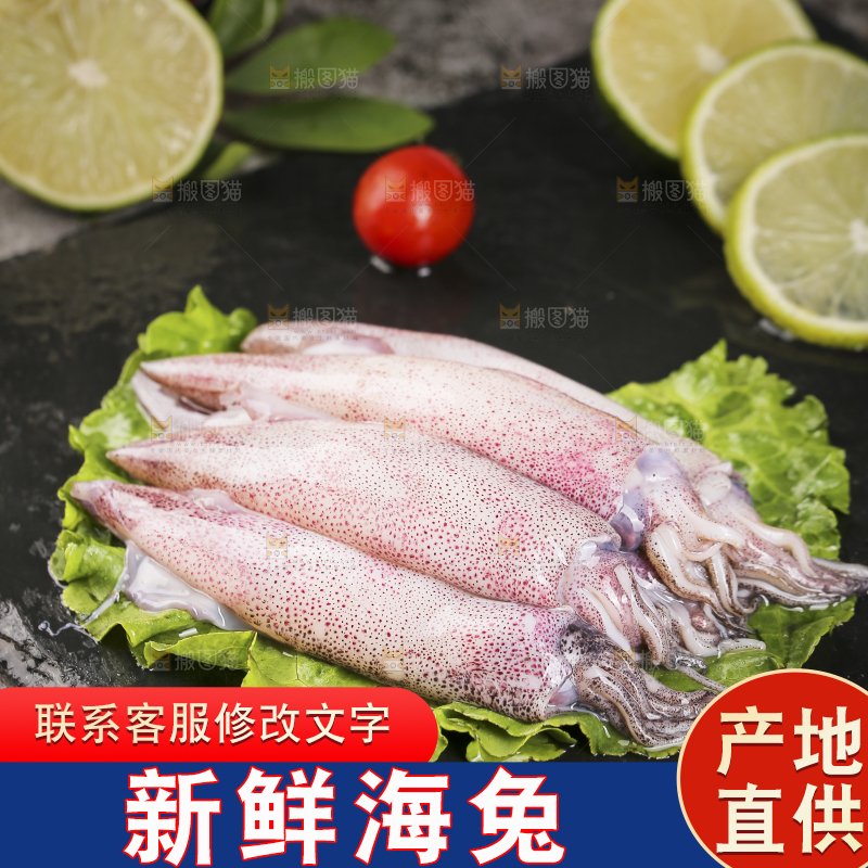 深底上的海兔