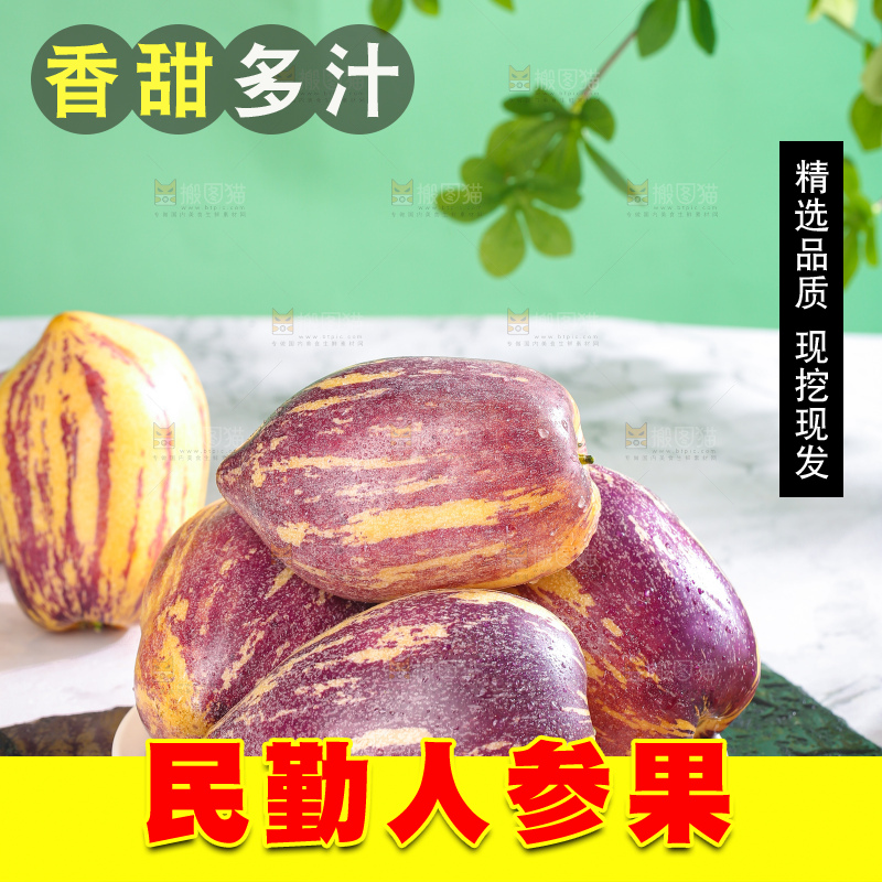 浅底上的民勤人参果