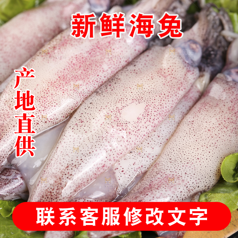 深底上的海兔