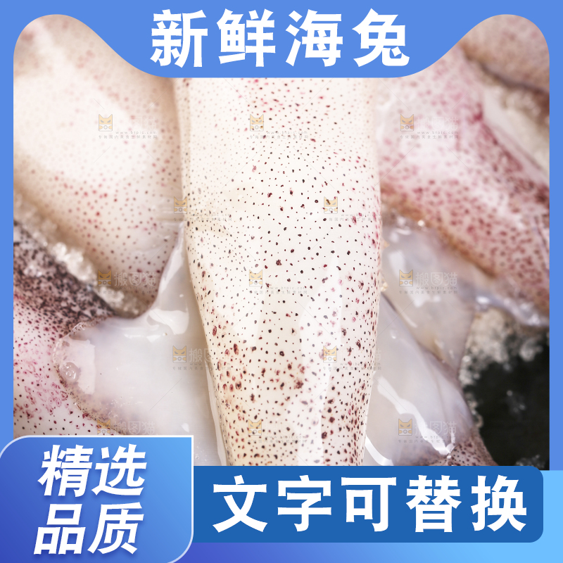 深底上的海兔