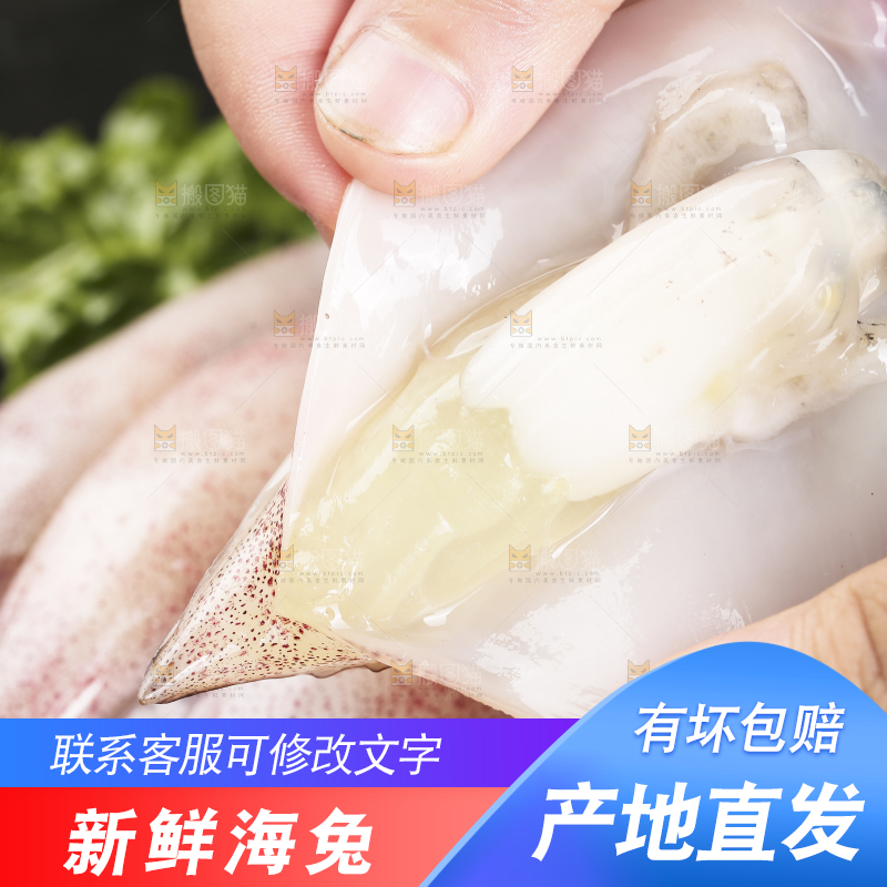 深底上的海兔
