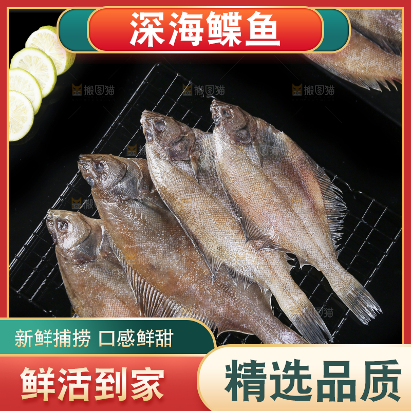 深底上的鲽鱼