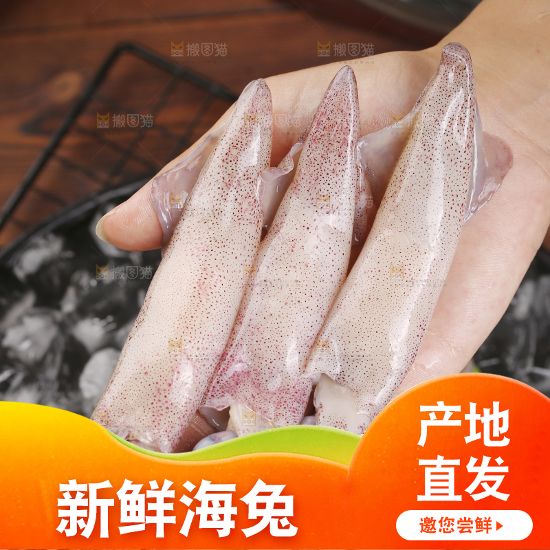 深底上的海兔