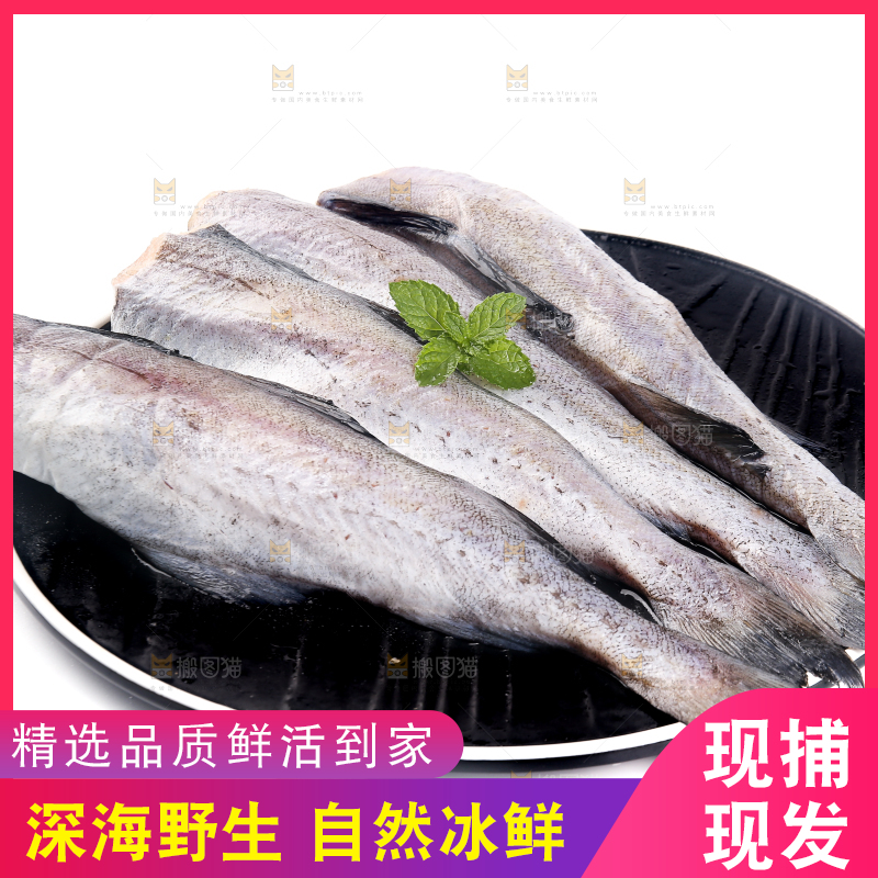 白底上的鳕鱼