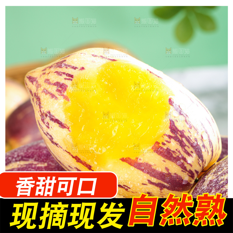 浅底上的民勤人参果