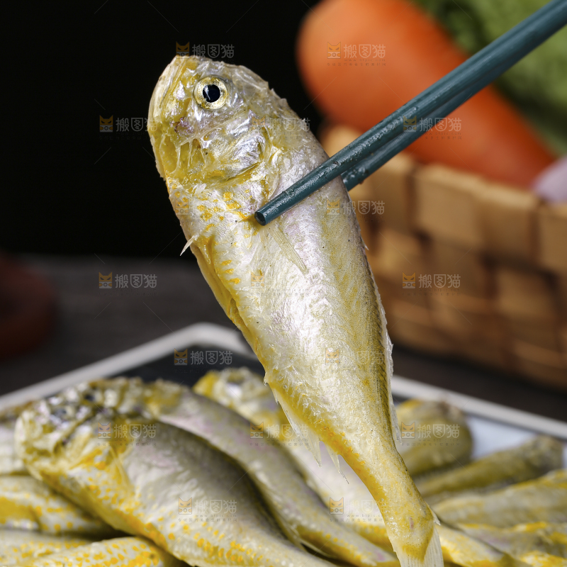 深底上的大头宝