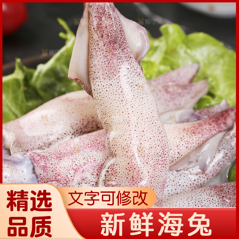 深底上的海兔