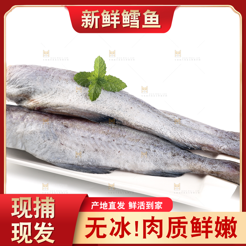 白底上的鳕鱼