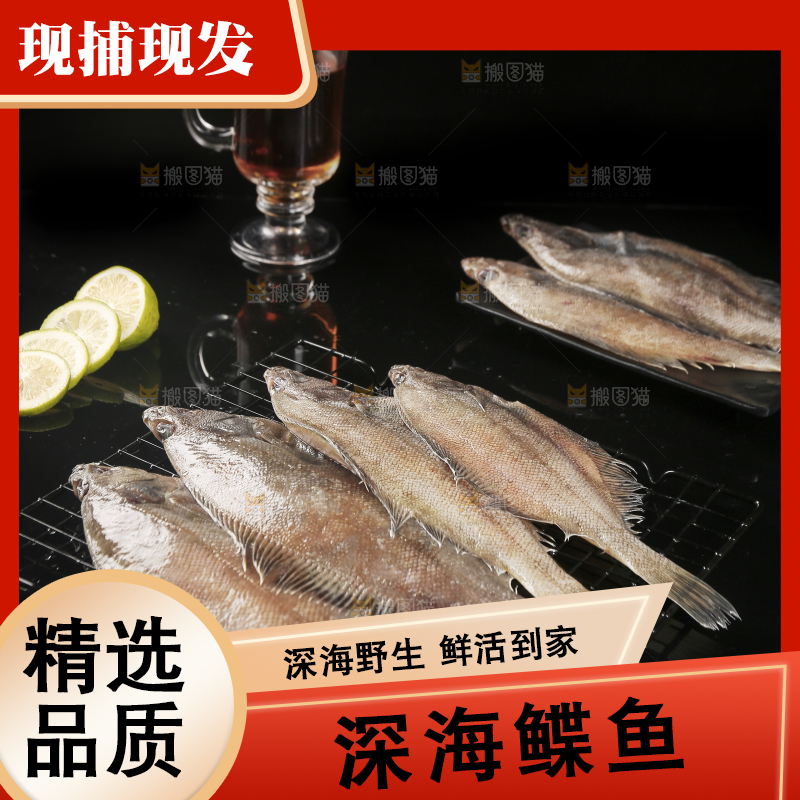 深底上的鲽鱼