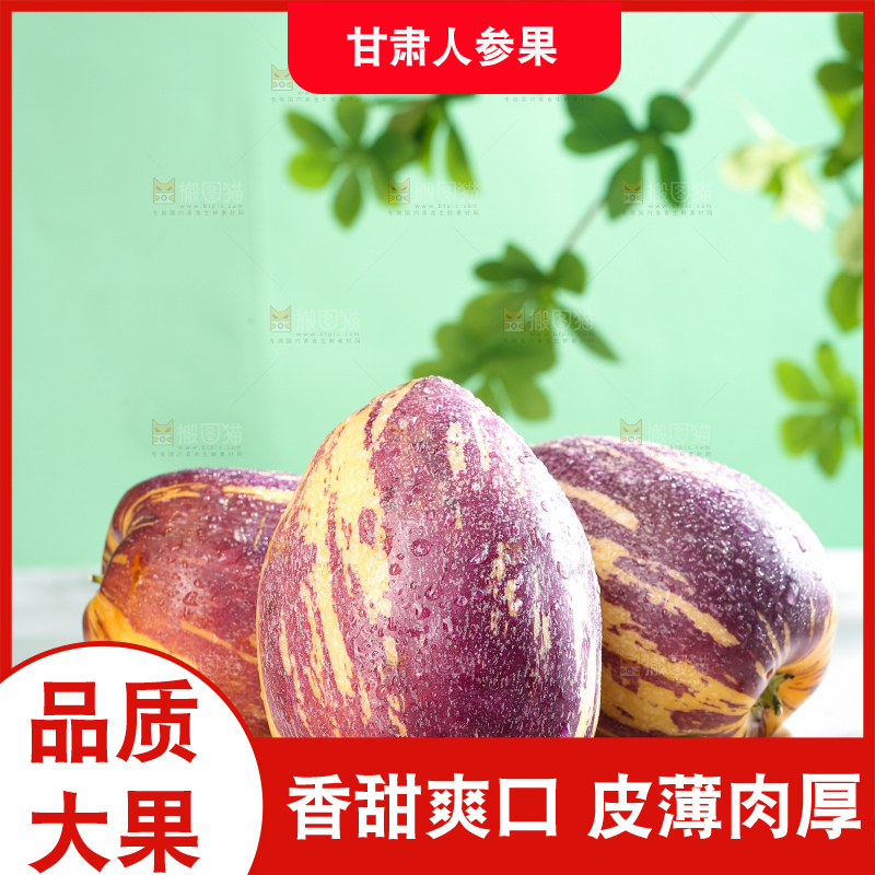 浅底上的民勤人参果