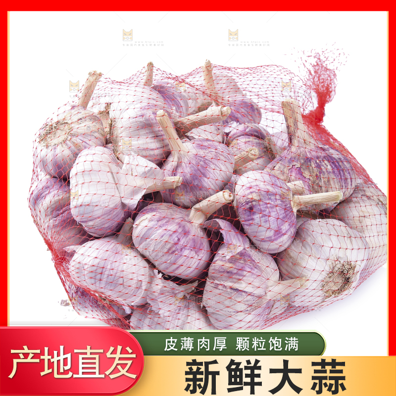 白底上的紫皮干大蒜
