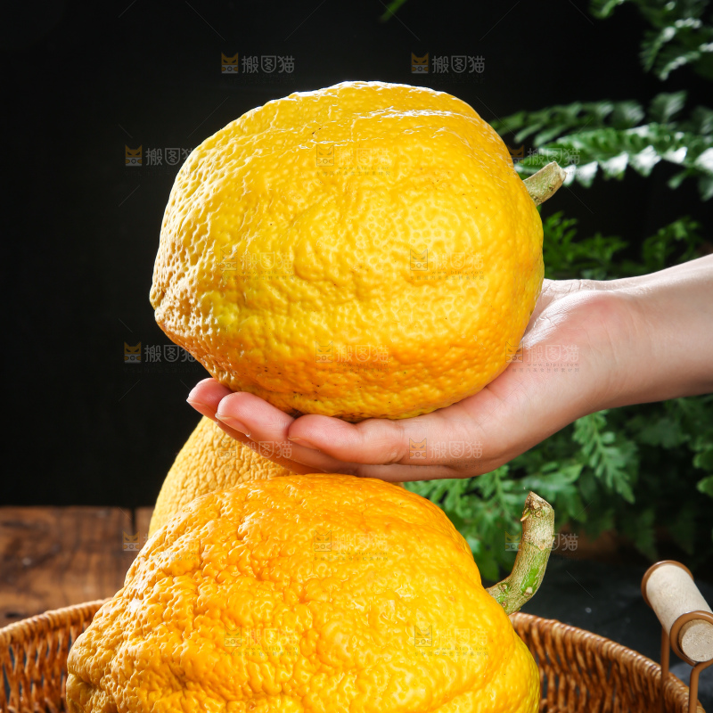 深底上的香橼果