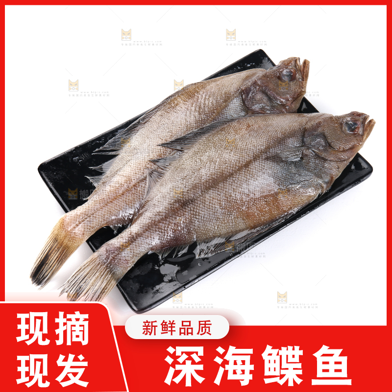 白底上的鲽鱼