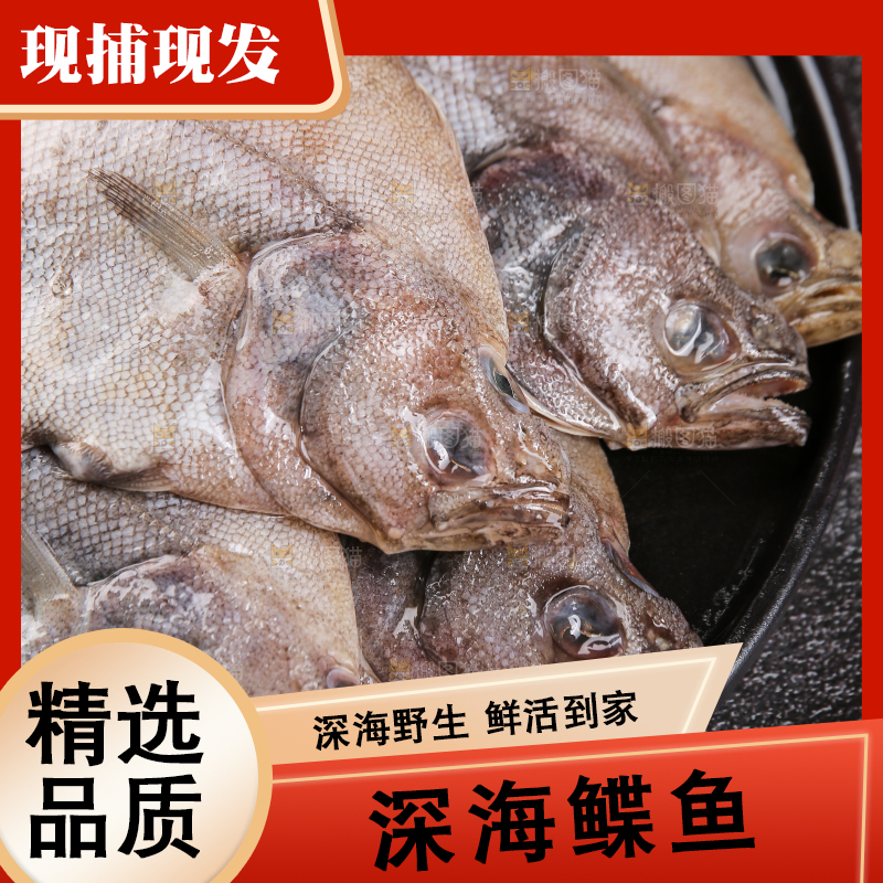 深底上的鲽鱼
