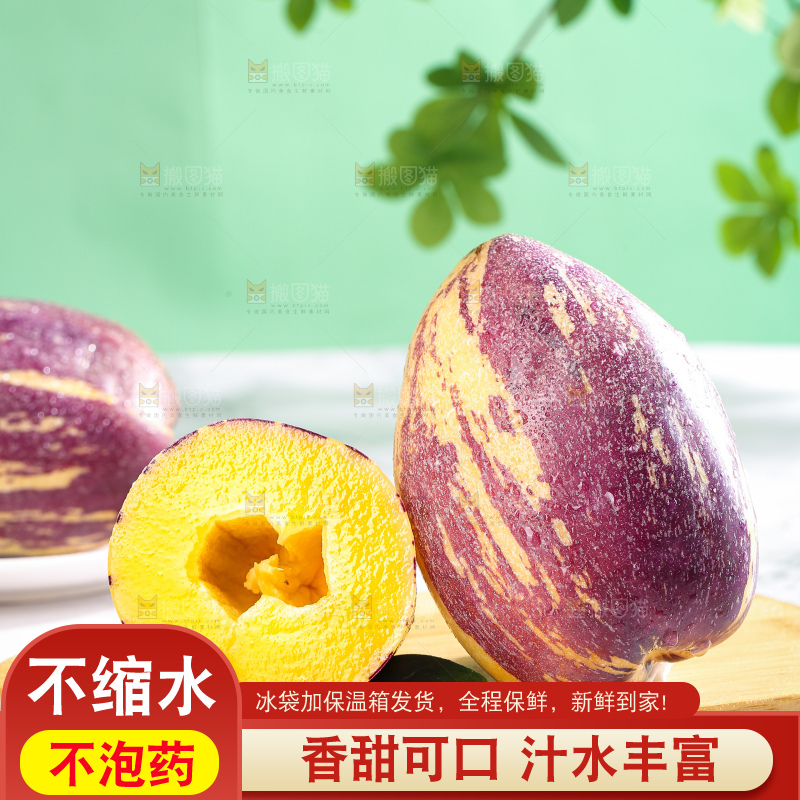 浅底上的民勤人参果