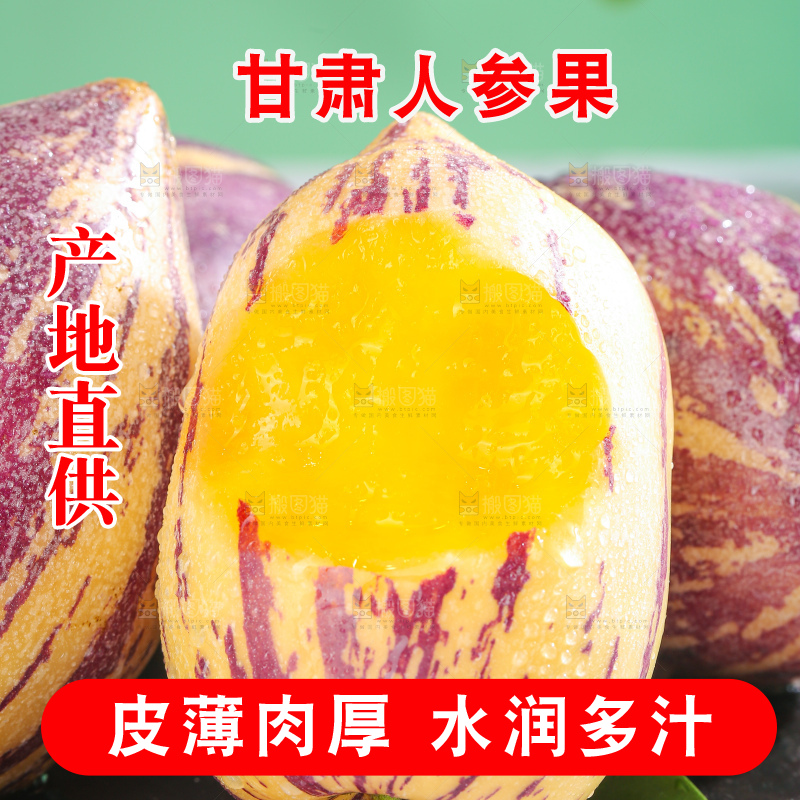 浅底上的民勤人参果