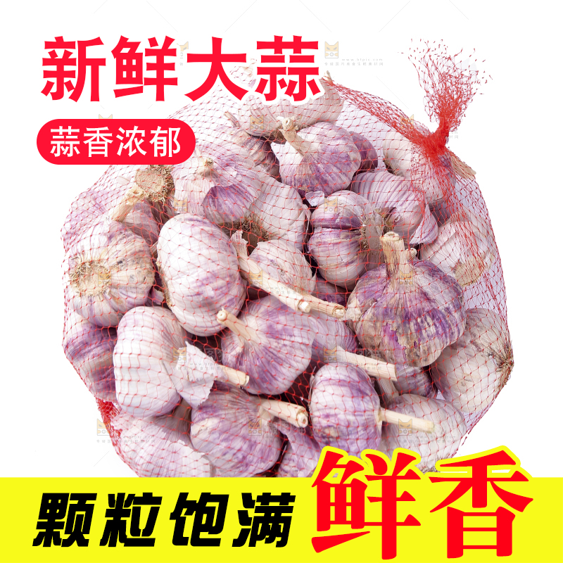 白底上的紫皮干大蒜