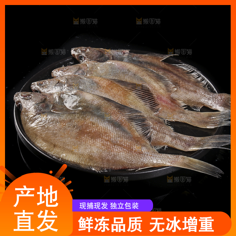 深底上的鲽鱼