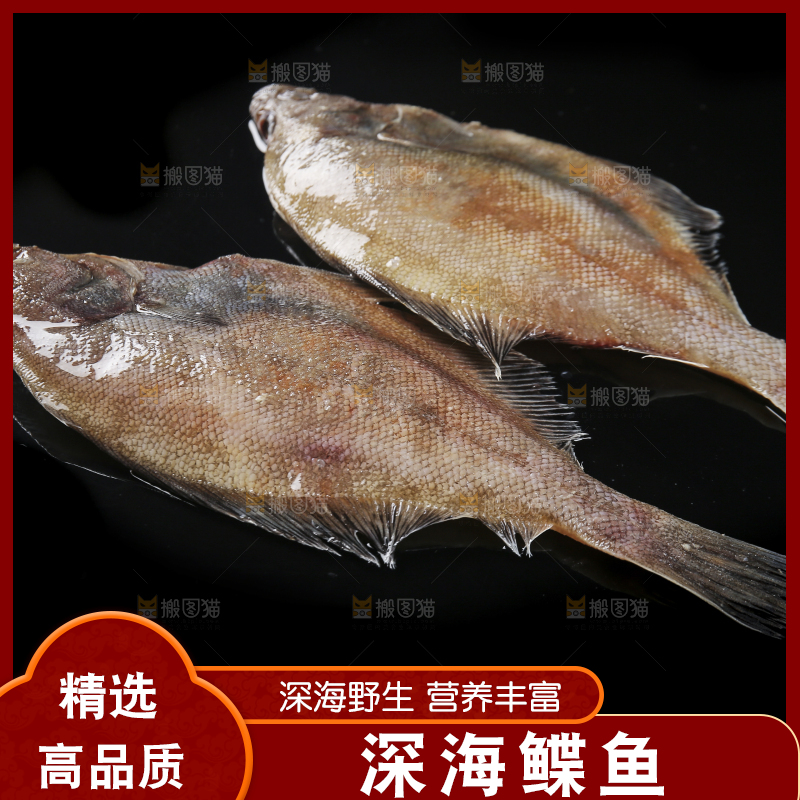 深底上的鲽鱼