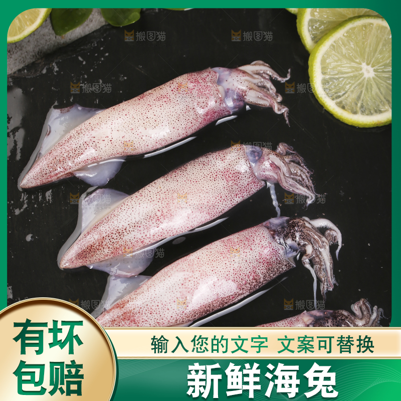 深底上的海兔