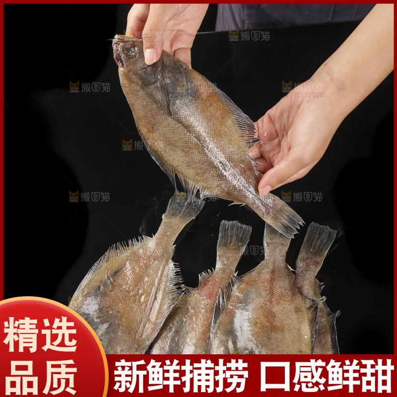 深底上的鲽鱼