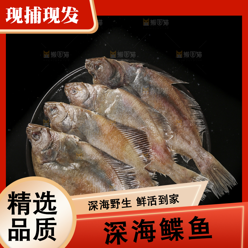 深底上的鲽鱼