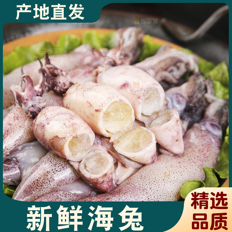 深底上的海兔