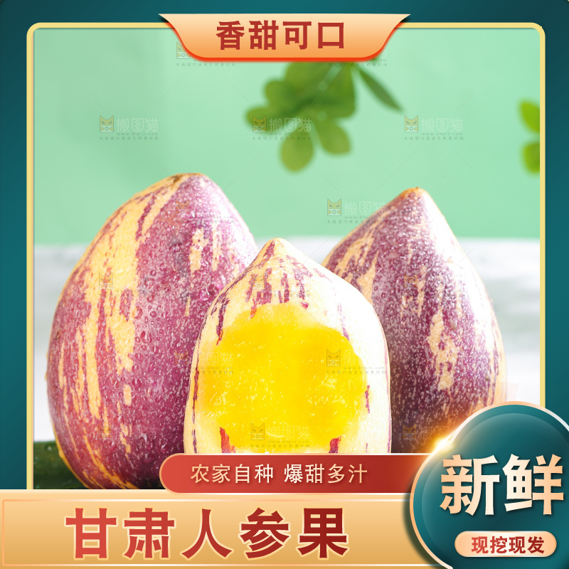 浅底上的民勤人参果
