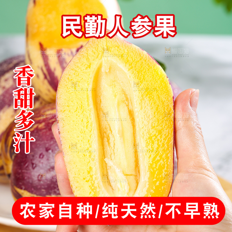 浅底上的民勤人参果