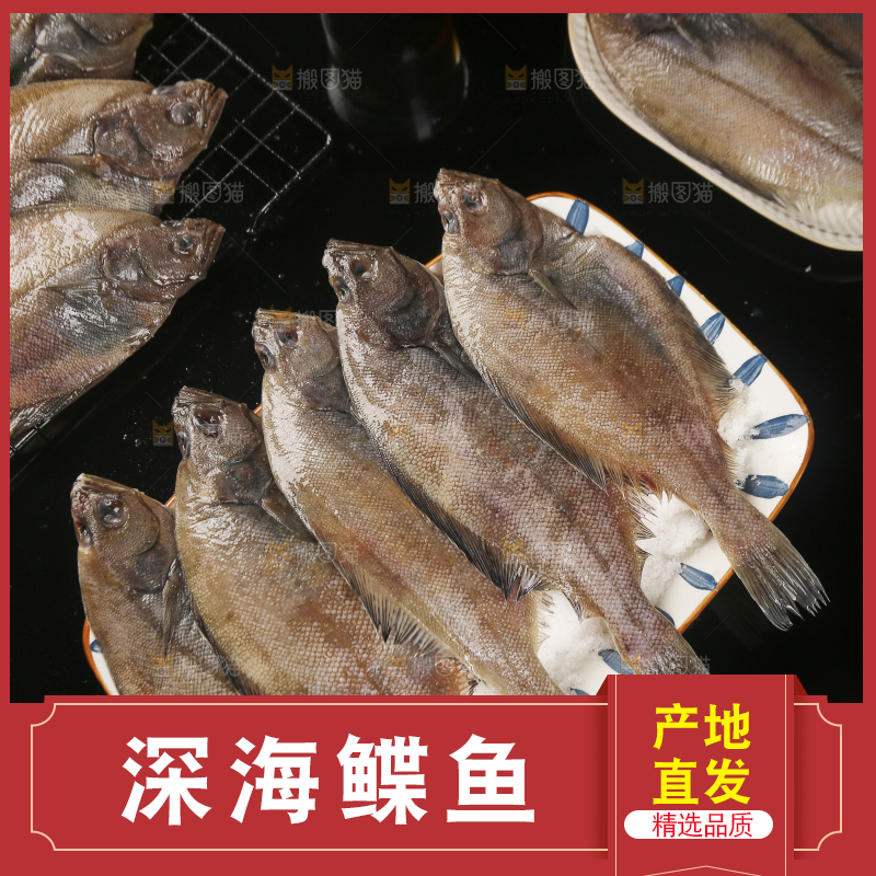 深底上的鲽鱼