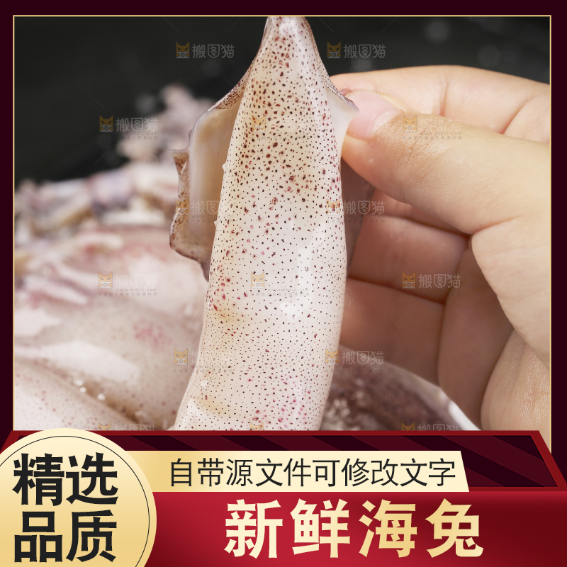 深底上的海兔