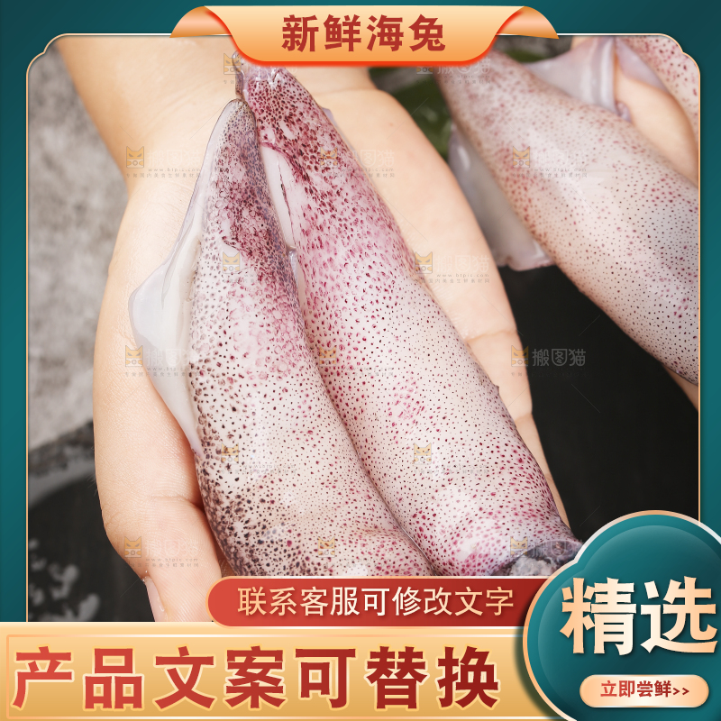 深底上的海兔