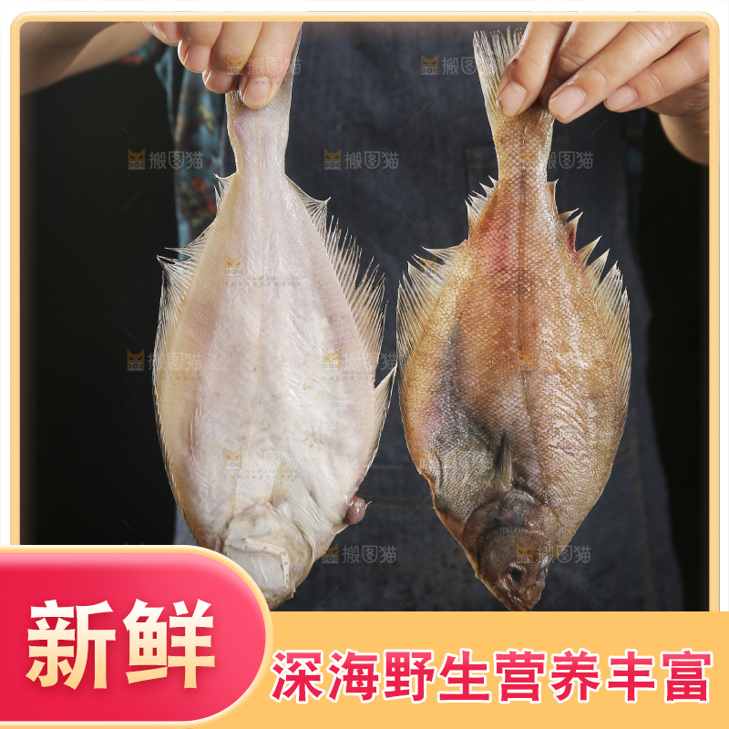 深底上的鲽鱼