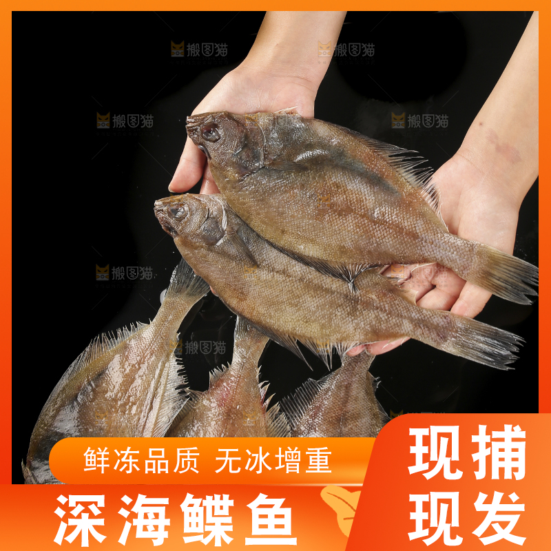 深底上的鲽鱼