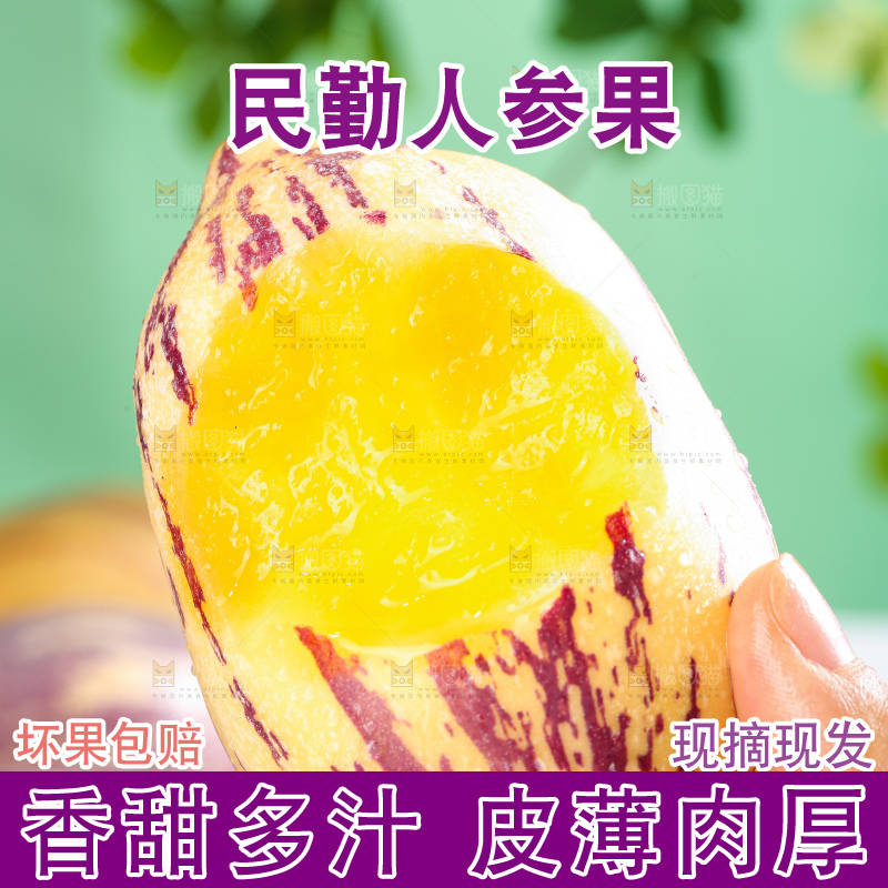浅底上的民勤人参果