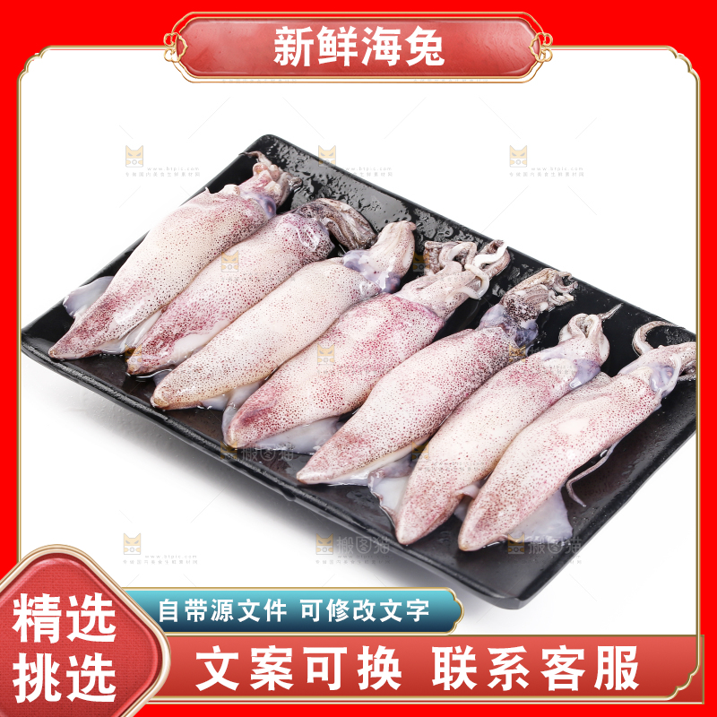 白底上的海兔
