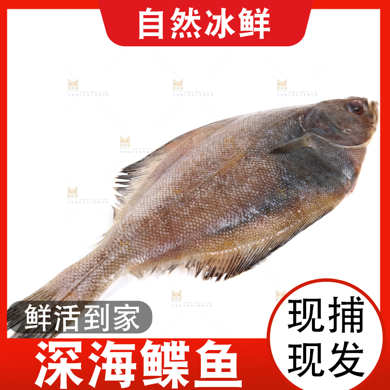 白底上的鲽鱼