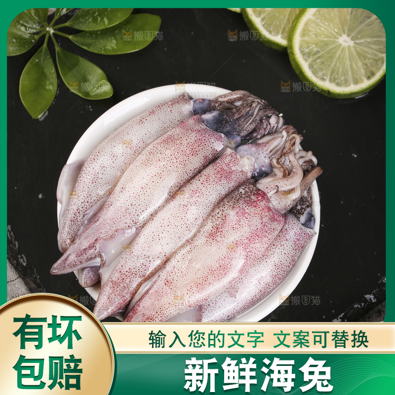深底上的海兔