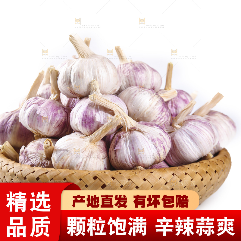 白底上的紫皮干大蒜