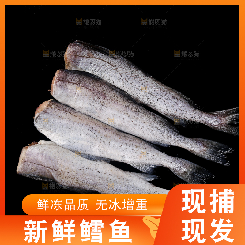 深底上的鳕鱼