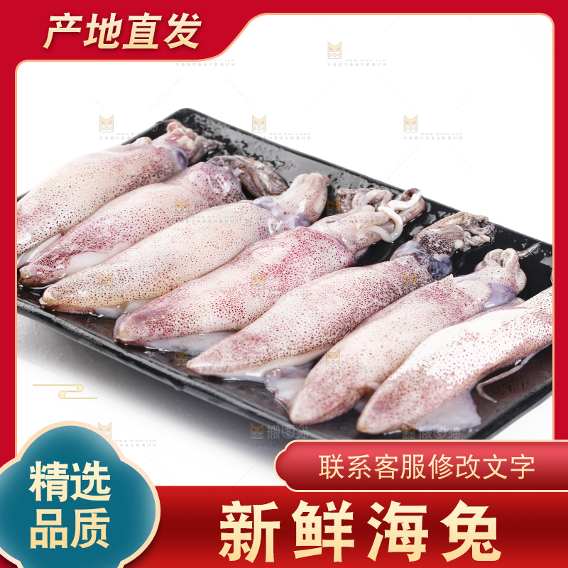 白底上的海兔