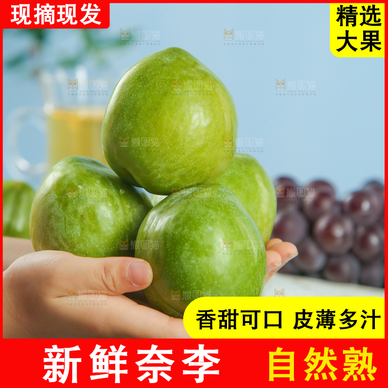 浅底上的奈李