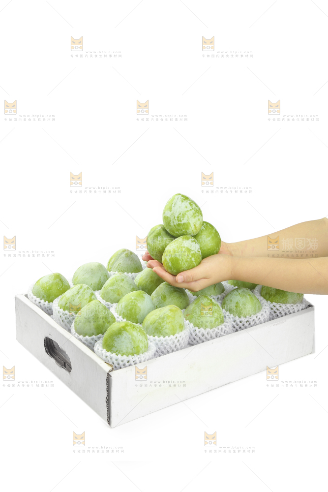 白底上的奈李