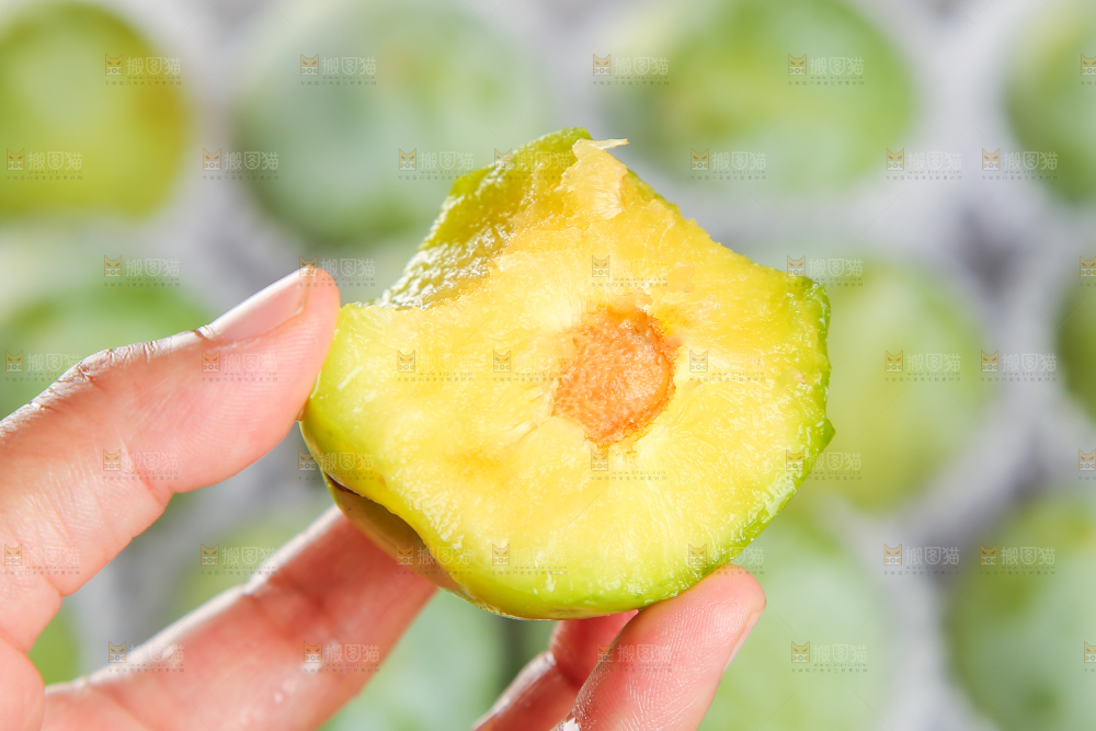 浅底上的奈李