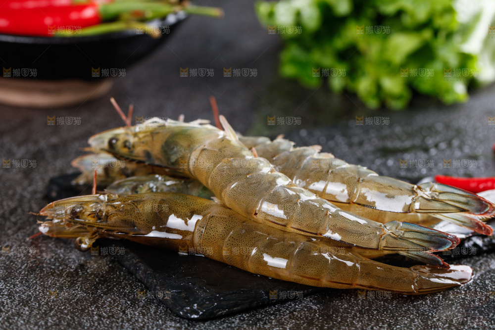 深底上的青岛大虾