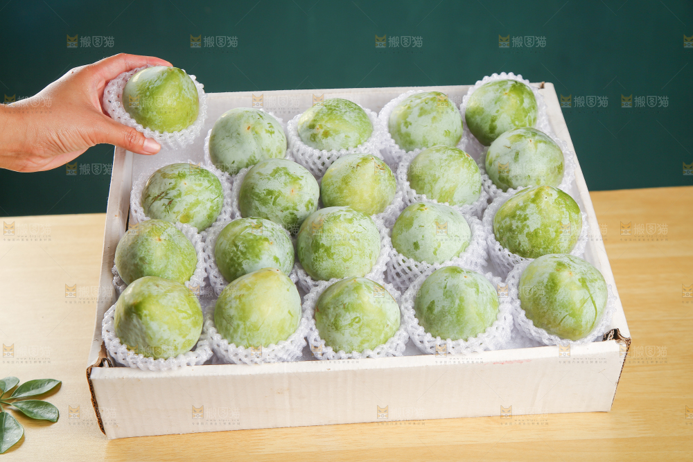 浅底上的奈李