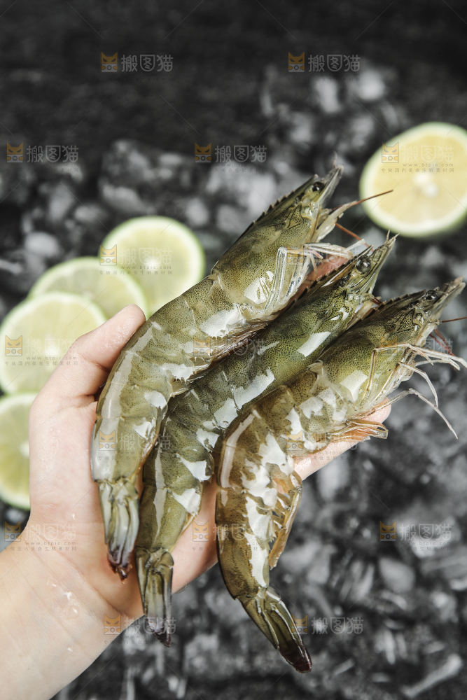 手里拿着青岛大虾